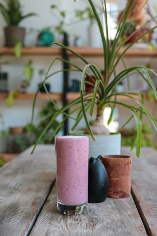 a pink drink sitting on a wooden table next to potted plants