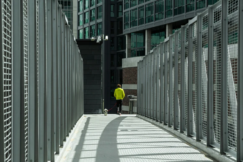 a person standing on a path near buildings