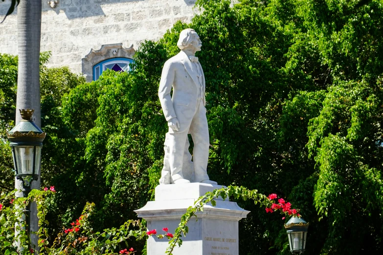 the statue is beside a bunch of bushes and plants