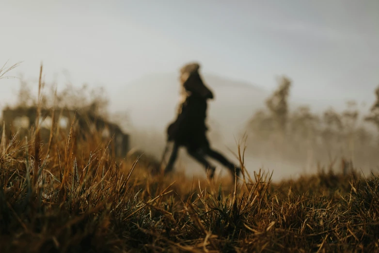 a couple of people walking down a grass covered hillside