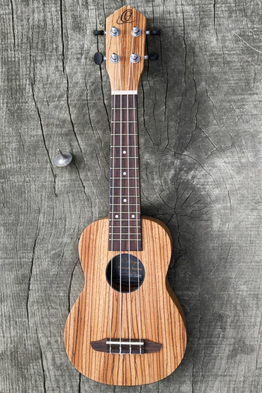a ukulele lying against the side of a tree