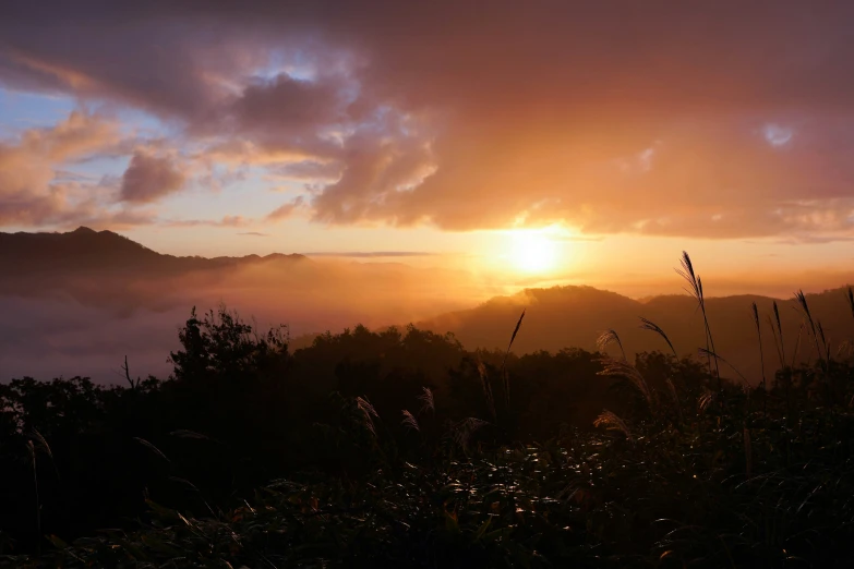 the sun setting over the mountains with fog and grass