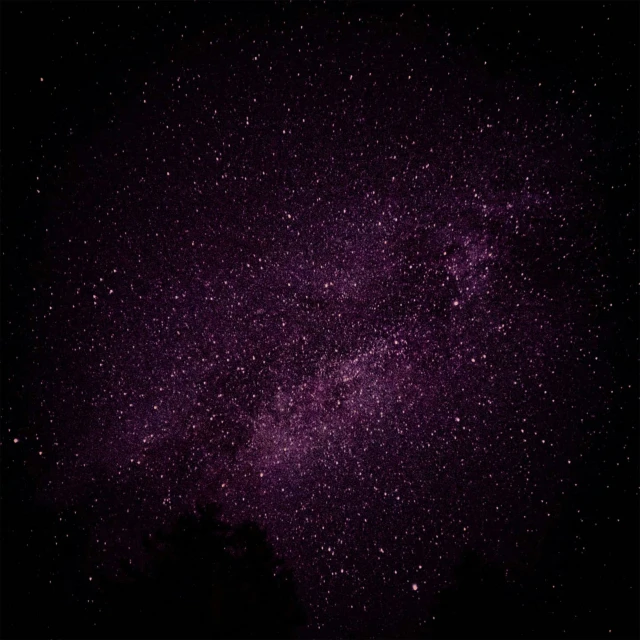 purple stars against a black night sky