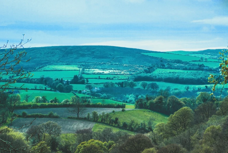 a painting of hilly fields and hills as well as trees and shrubs