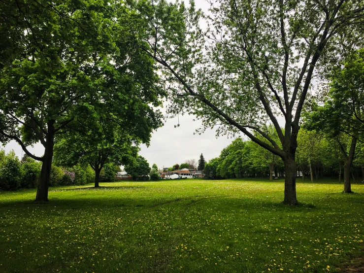 a grass covered field with trees and a street sign