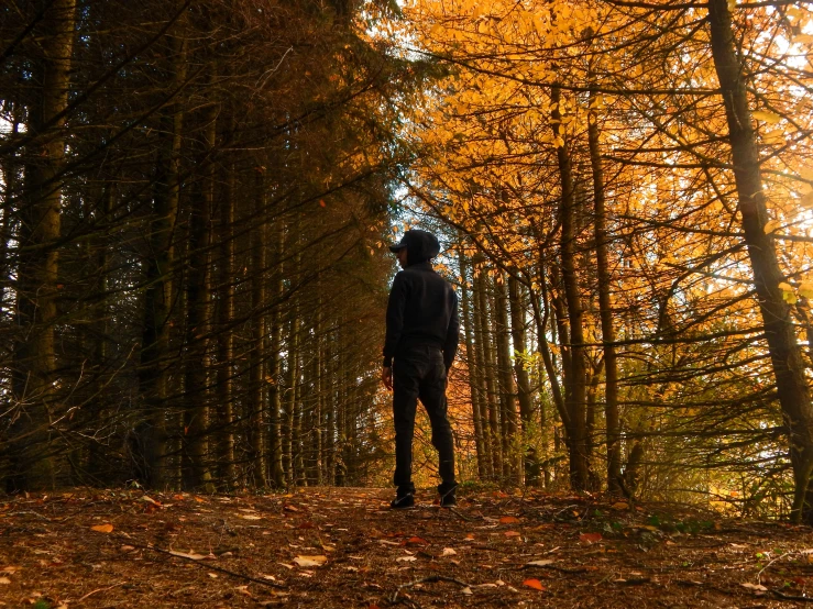 the person is standing in front of the trees in a wooded area