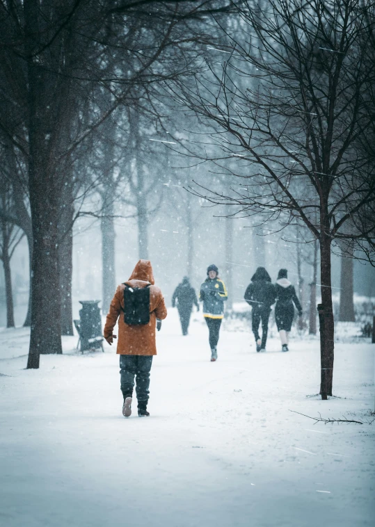 there are many people walking along a snowy trail