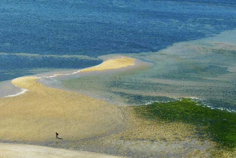 a sandy beach with people and water