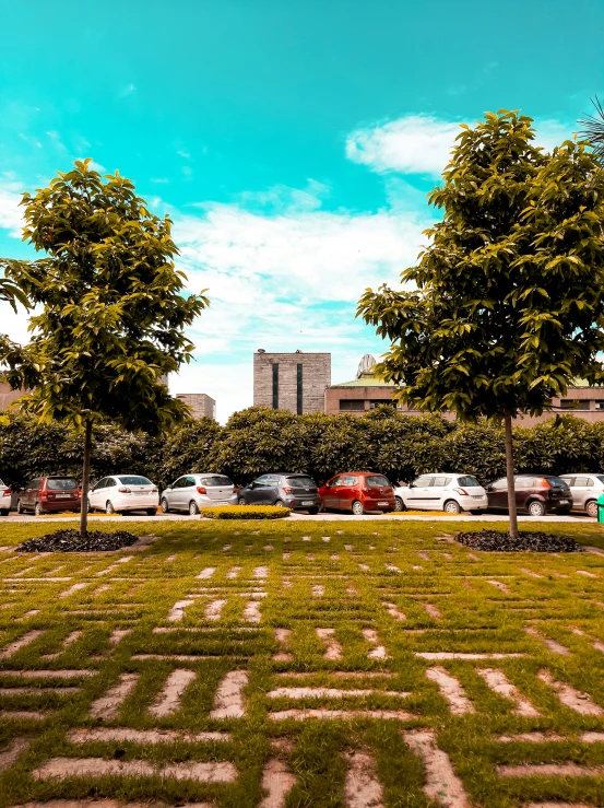 a grassy area with cars parked in the background