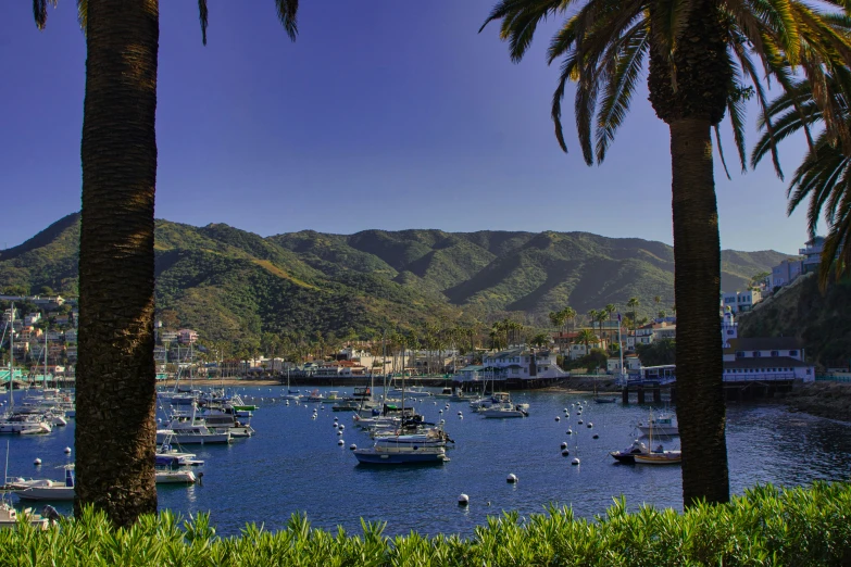 a harbor with several boats on it surrounded by mountains