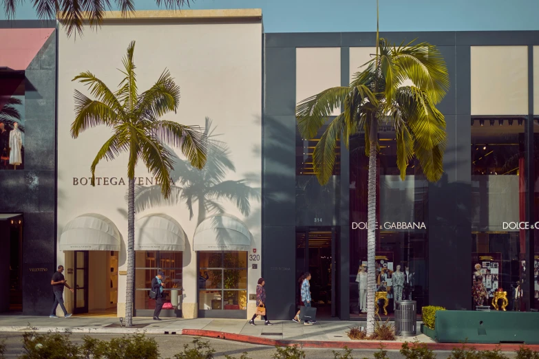 some people walk in front of a store with two palm trees