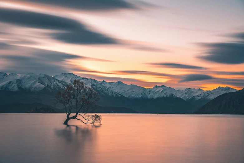 a lone tree in the middle of a lake with snow capped mountains behind it