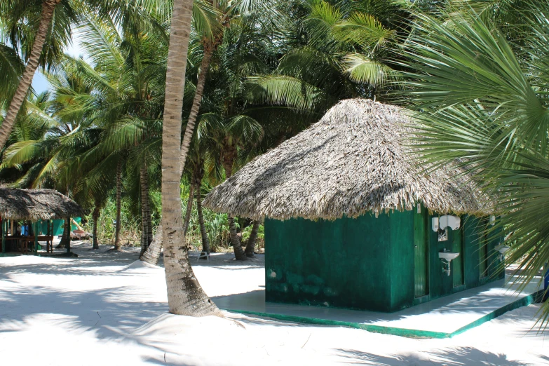 a green hut with a grass roof among trees