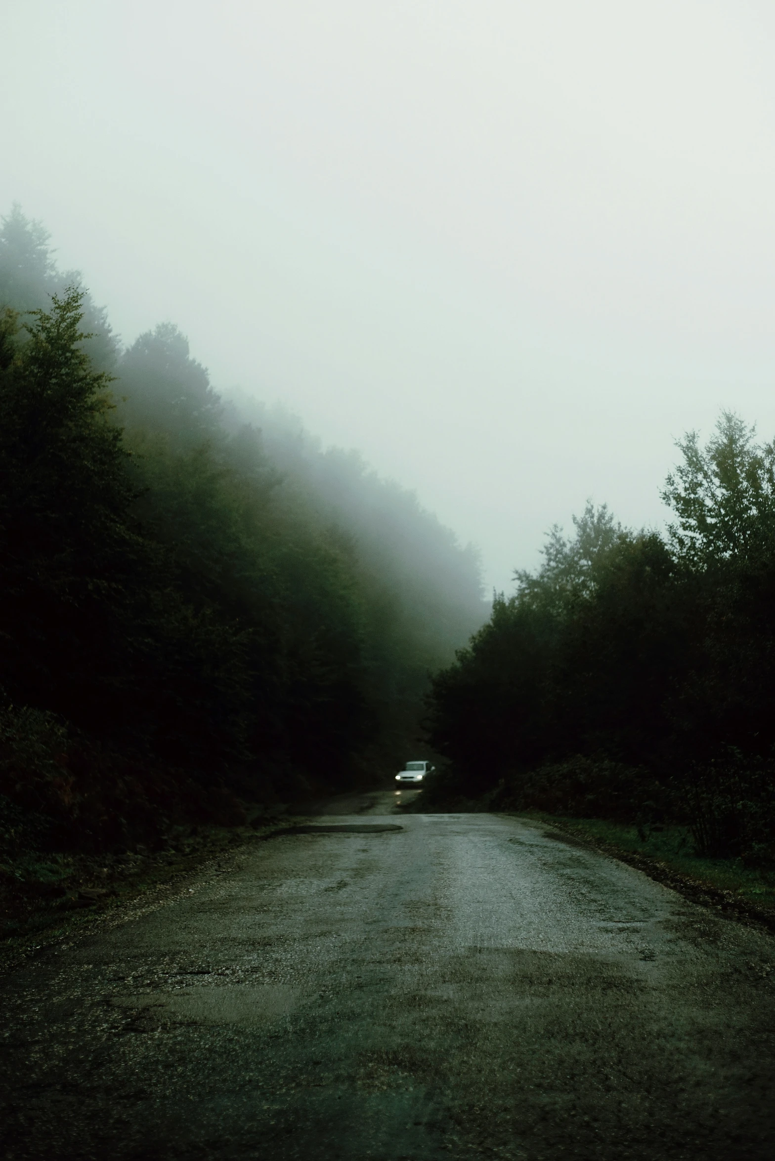 there is a foggy road between trees