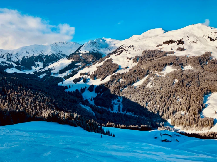 snowy mountains, with trees and bushes in the foreground