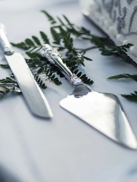 fork and knife on a table with fern sprouts