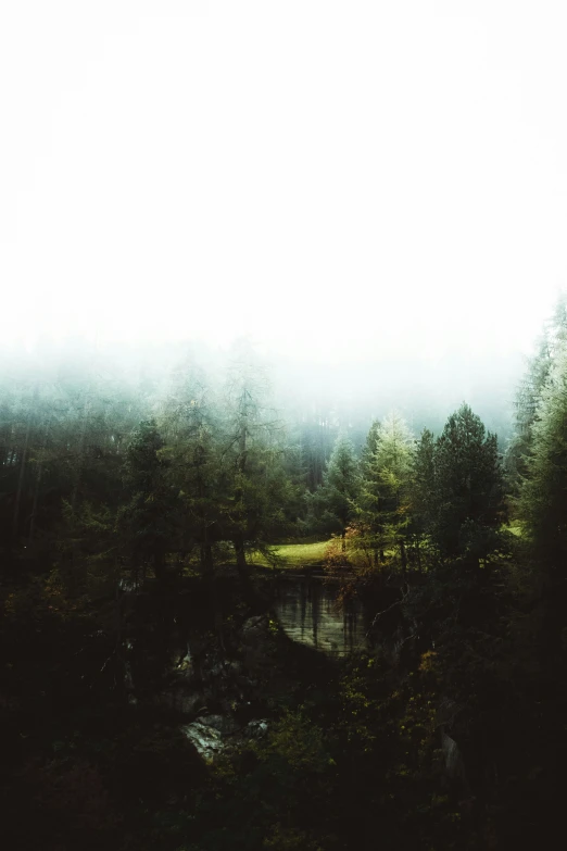 a foggy river sits near some trees