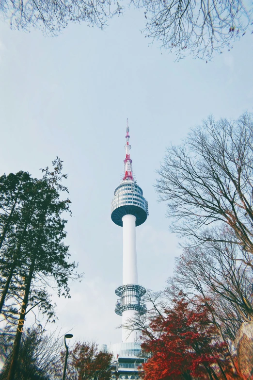 the tv tower in berlin is covered with autumn foliage