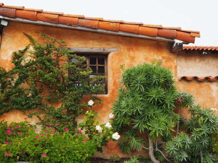 a building with plants and a tree