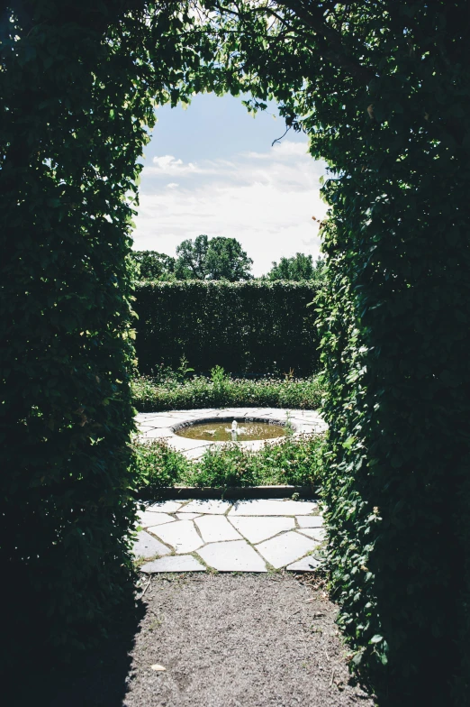 a view of a garden area with a pool in the middle