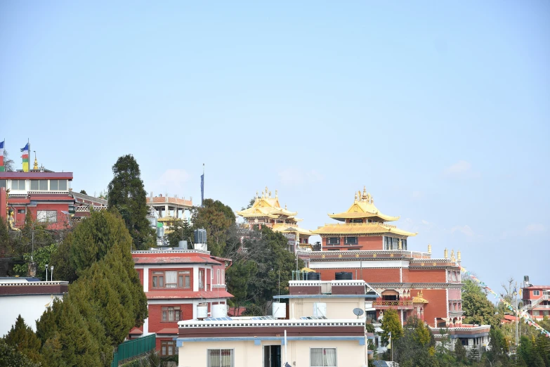 buildings on the hill covered in trees, buildings below and one behind the building