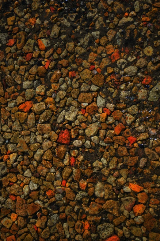 close up view of rocks and gravel with the light reflecting off in the water