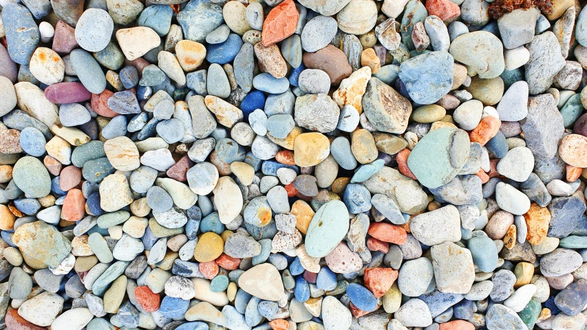 rocks are arranged neatly as a colorful backdrop