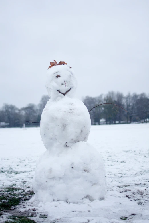 snowman in a field with a fishing rod