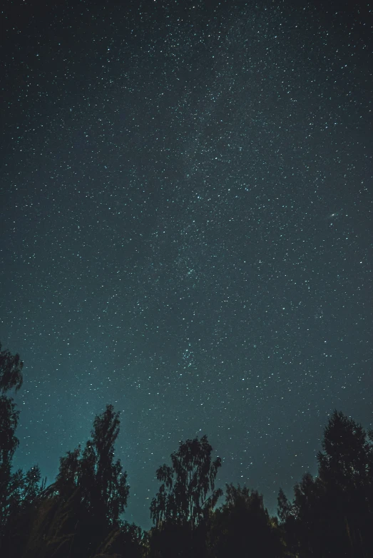 the night sky with stars and trees