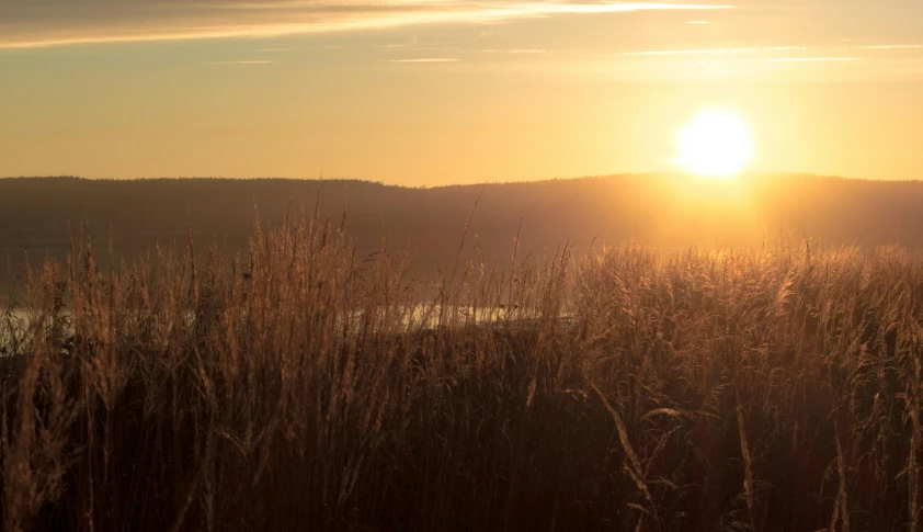 the sun shines through the horizon as it rises over some hills