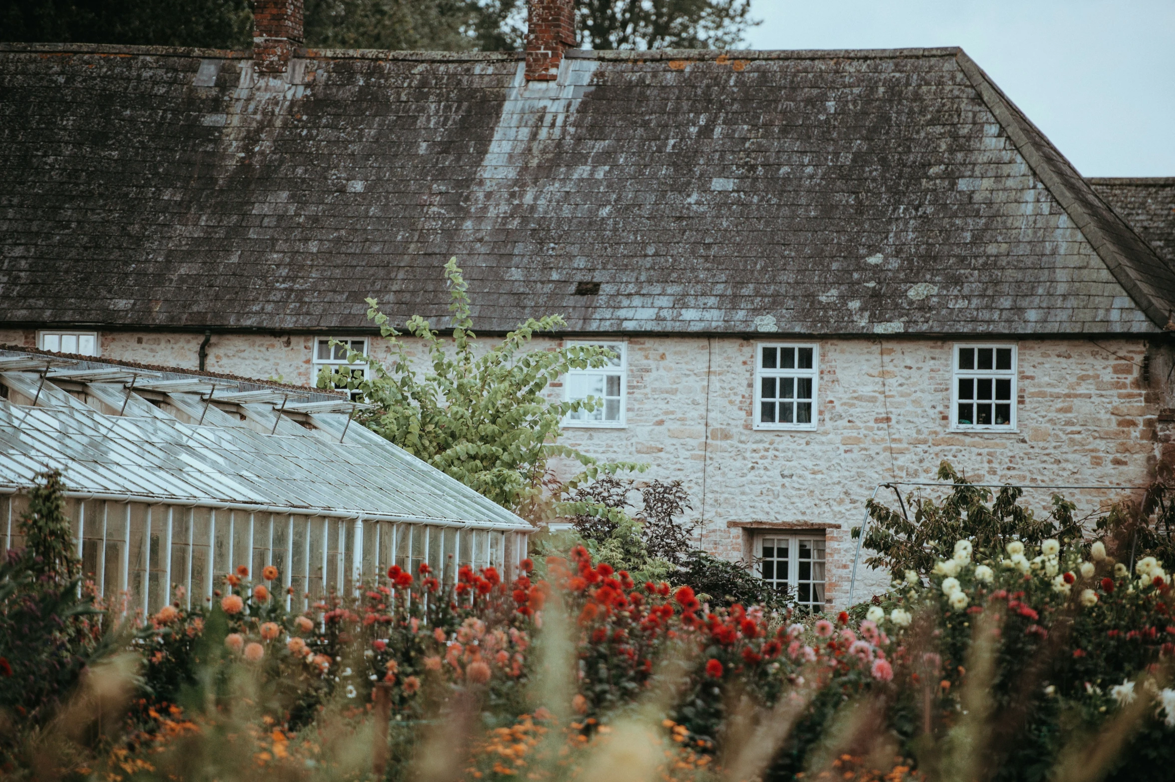 a house that has some flowers in front of it