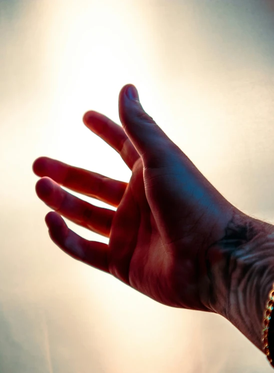 this hand is reaching towards the sky for sunlight