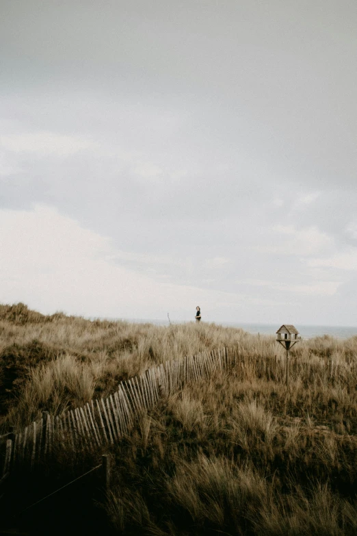 two people standing on a hill overlooking the ocean
