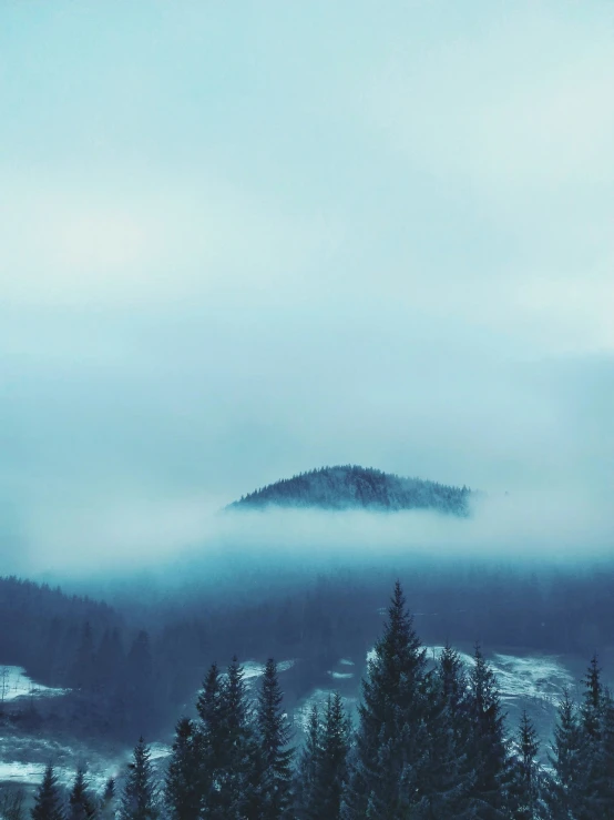 fog on the mountains and trees are very cold