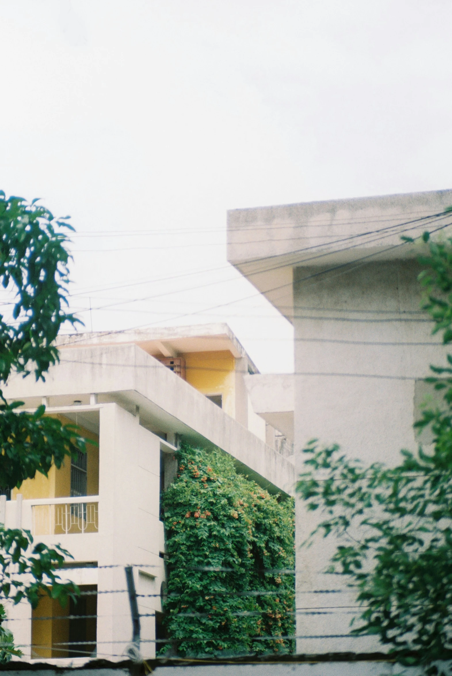 a building surrounded by trees and bushes