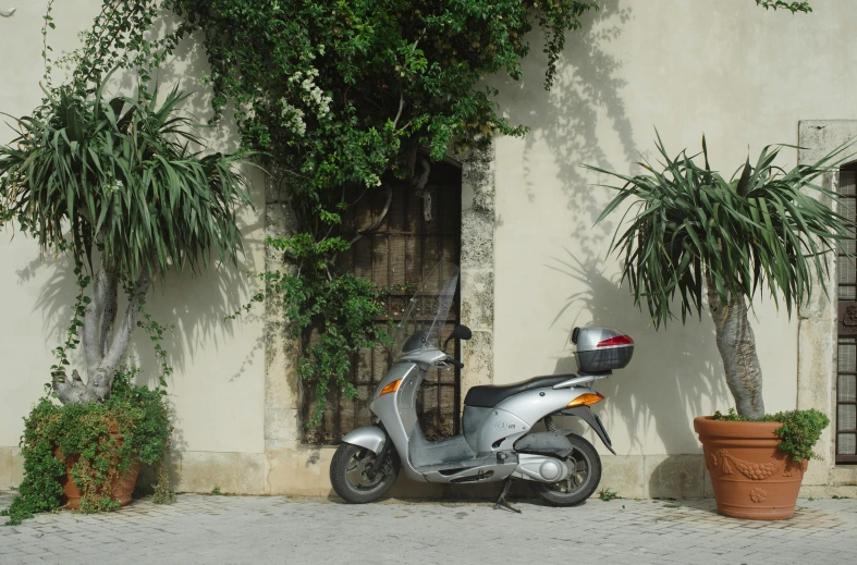 there is a motor scooter near a house with potted plants