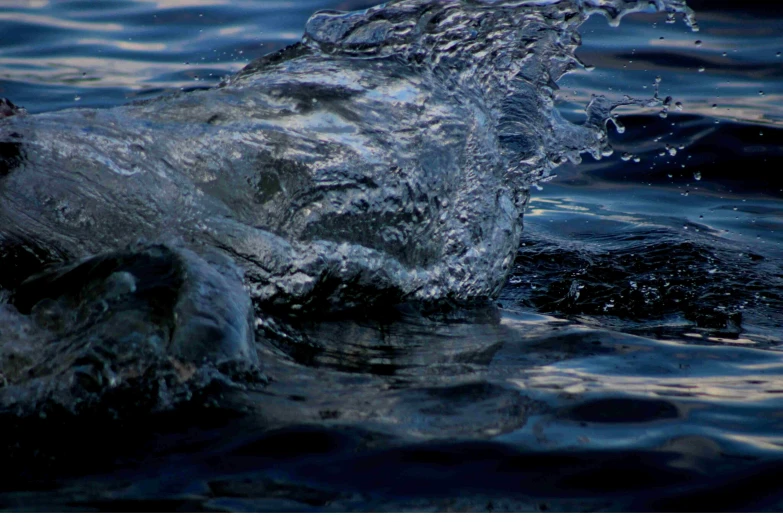 a dog swimming in the ocean with it's head above water