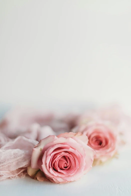 three pink flowers are resting on a table