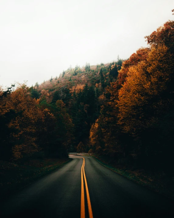 a road near trees and hills under a grey sky