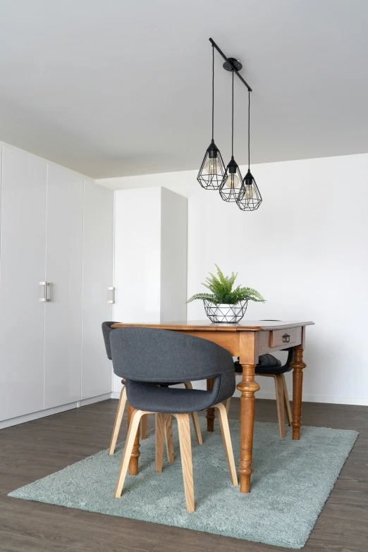 a table with chairs, hanging lights and a potted plant