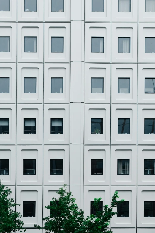 a tall building with many windows and two green trees