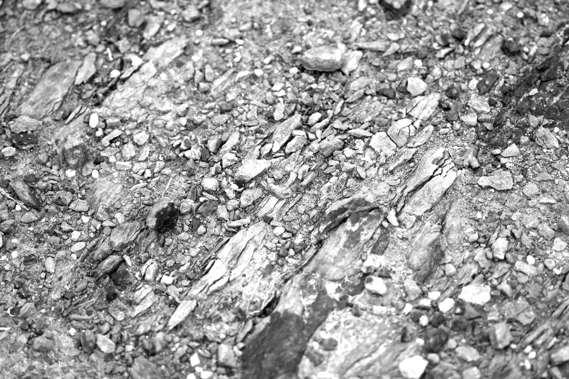 black and white pograph of dirt that is ed off with rocks