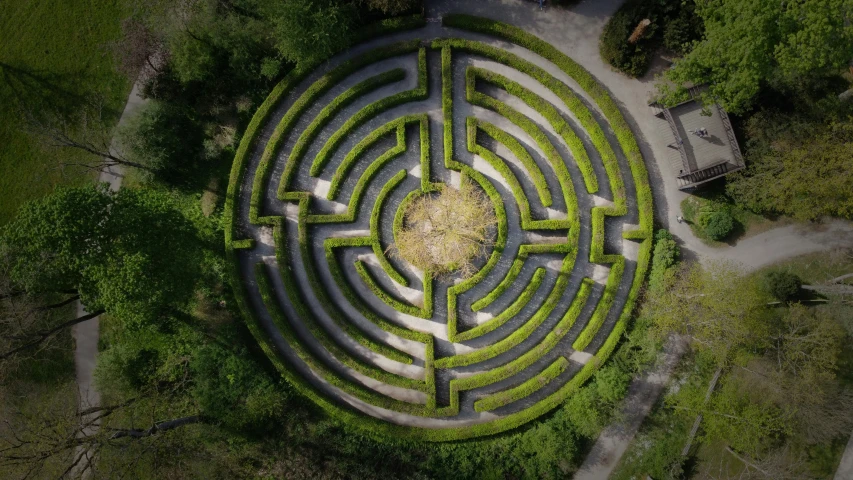 a circular maze that is surrounded by trees