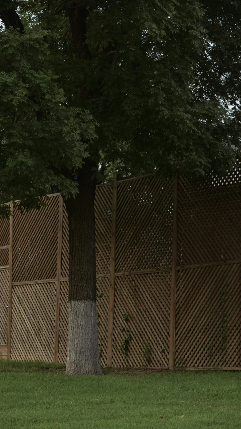 a man that is standing up next to a tree