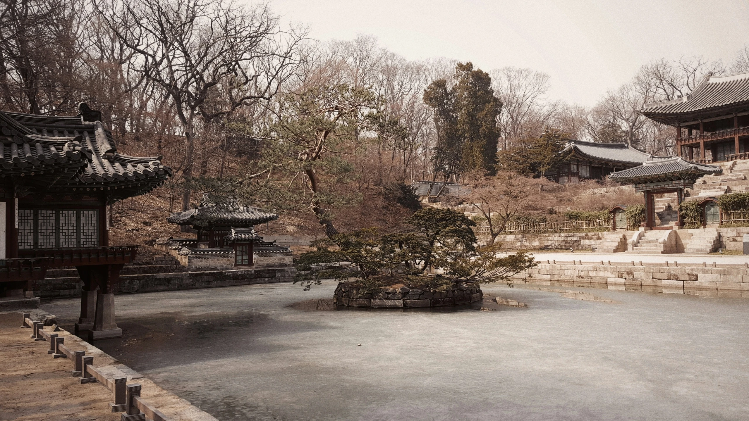 small trees stand in the middle of an oriental garden