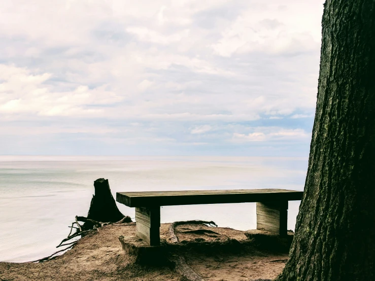 a bench is sitting on the sand by a tree