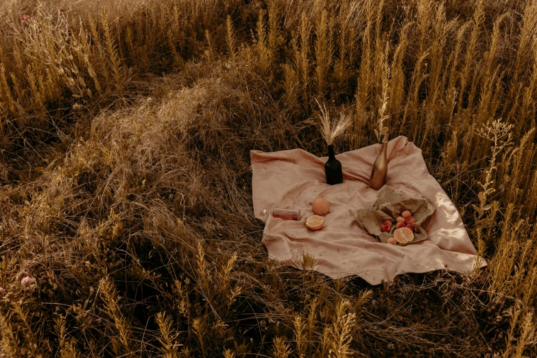 the picnic blanket lies near the bottle and two wine glasses