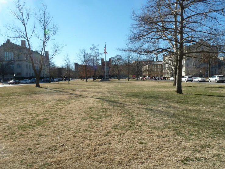 park full of trees and buildings in front of blue sky