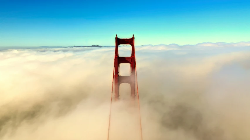 the golden gate is surrounded by thick fog