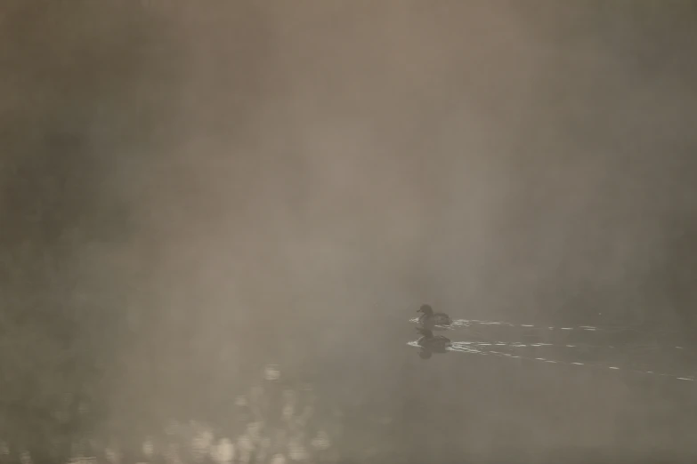 fog is rising up in the dark while two men walk on the beach